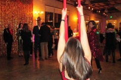 Acrobat-Swing-Dancer-1-IMG_3545
